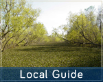 Local Guide